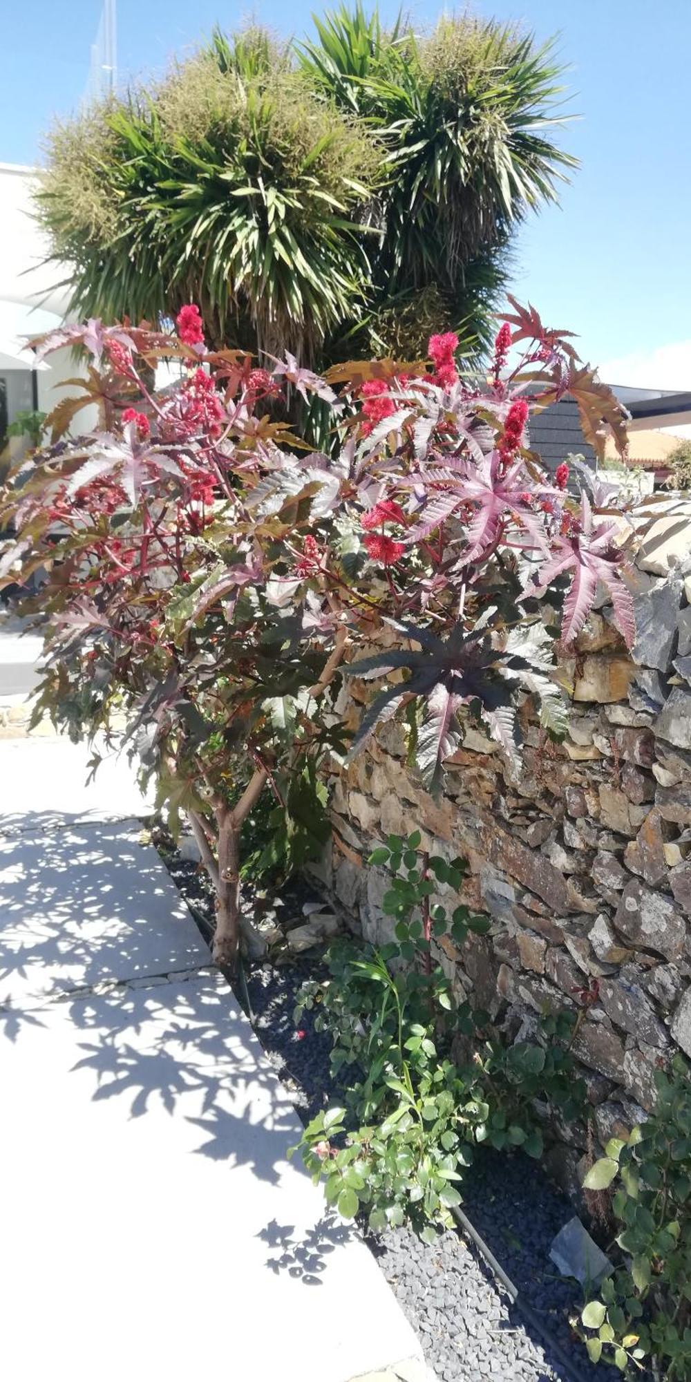Cantinho D'Avo - Apulia Esposende Exterior foto